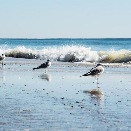 Direct Gulf Views With Deeded Beach Access Gulf Shores Luaran gambar