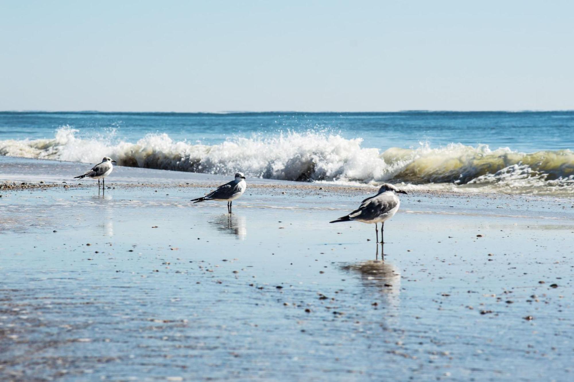 Direct Gulf Views With Deeded Beach Access Gulf Shores Luaran gambar